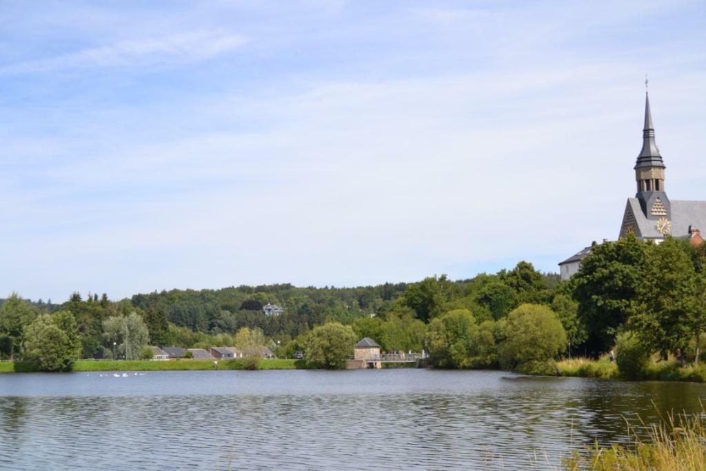 La Terrasse Du Lac Виелсалм Екстериор снимка